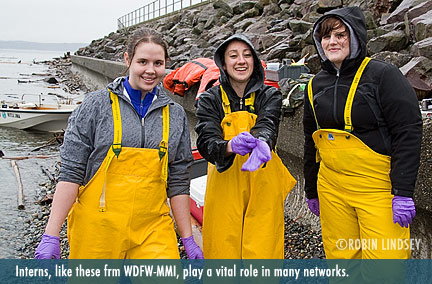 wdfw-interns-ssweb